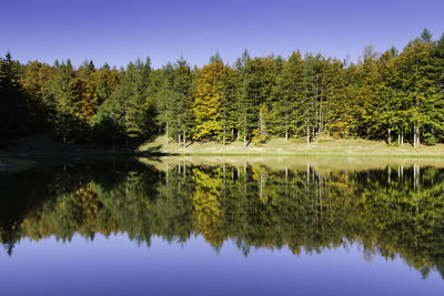 Reflection of trees in lake against sky