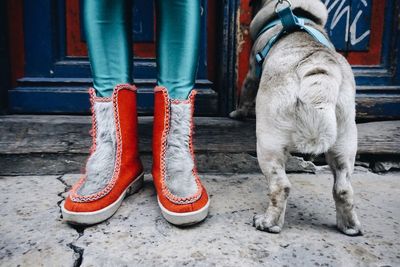 Low section of person wearing boots standing by pug outdoors