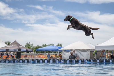 swimming