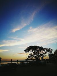 Silhouette of trees at sunset