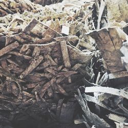 Close-up of stack of firewood