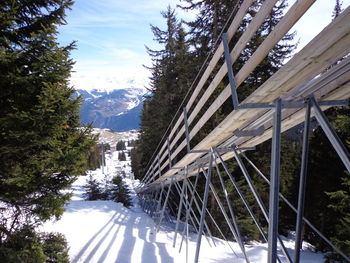 Snow covered plants by railing against sky