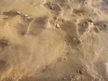 Full frame shot of sandy beach