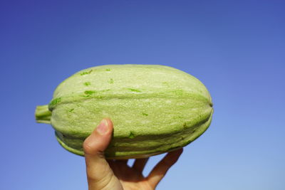 Cropped image of hand holding apple against blue sky