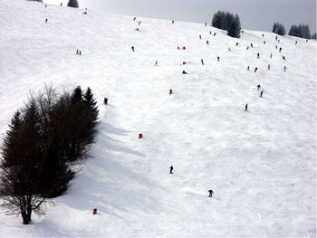 Skiers on downhill slope