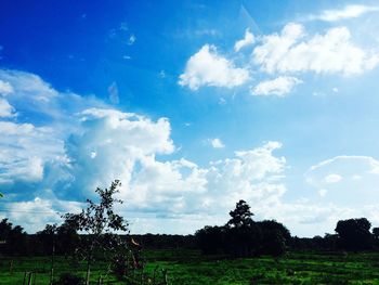 Scenic view of field against cloudy sky