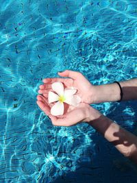 Close-up of flowers against blue sky