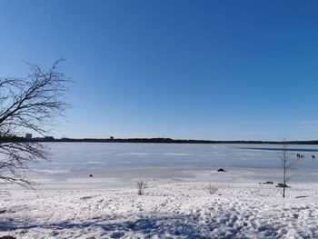 Scenic view of sea against clear blue sky during winter