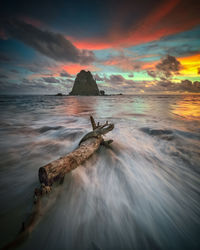 Driftwood on beach against sky during sunset