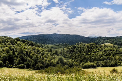 Scenic view of field against sky