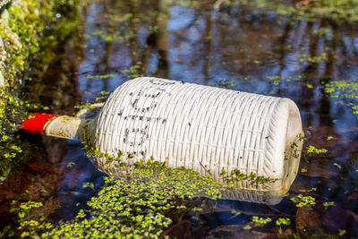 Close-up of drink against plants in forest