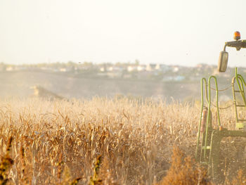 Close-up of wheat field against sky