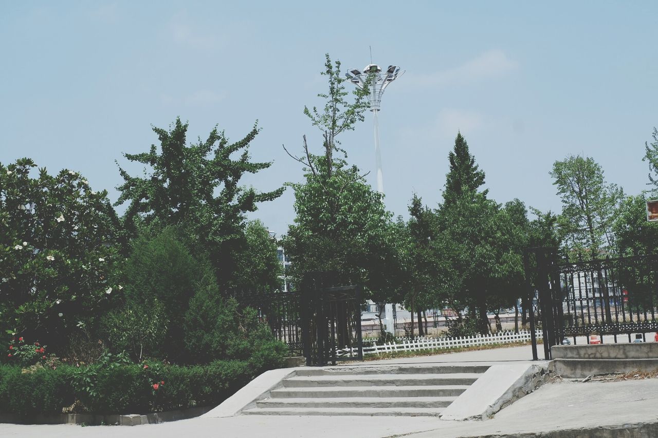 tree, plant, nature, sky, growth, day, no people, built structure, architecture, outdoors, sunlight, transportation, road, footpath, city, street, park, connection, direction, green color