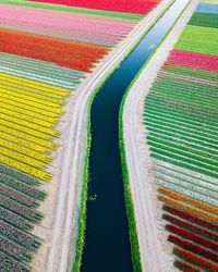 High angle view of multi colored pencils on field