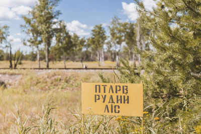 plant