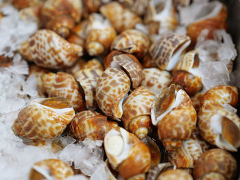 Full frame shot of food for sale in market