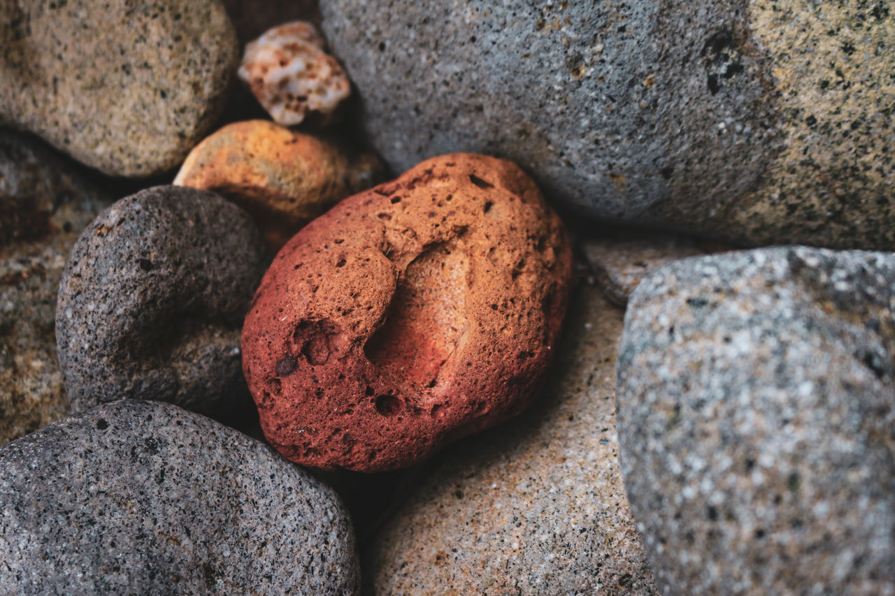 CLOSE-UP OF PEBBLES ON ROCK