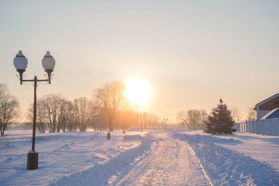 Snow covered trees against sky during sunset