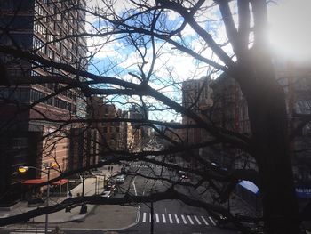 Bare trees in front of building