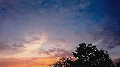 Silhouette trees against dramatic sky during sunset