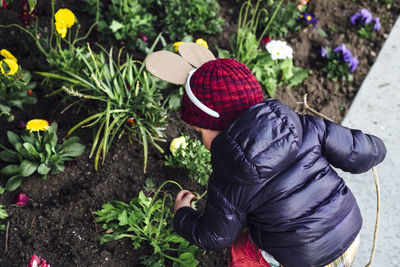 High angle view of child working on purple flowers