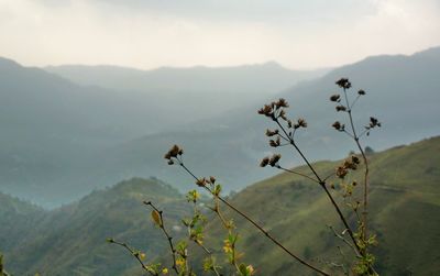 Scenic view of mountains against sky