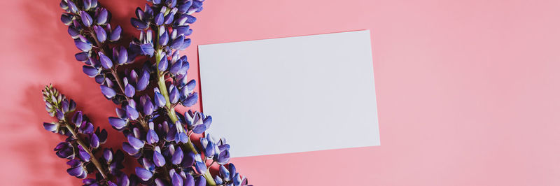 Close-up of lavender hanging against wall