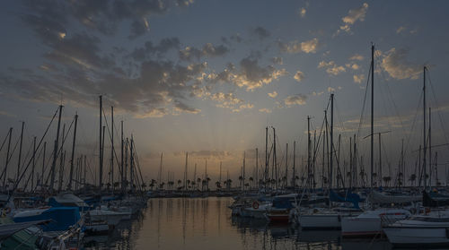 Sailboats moored in harbor at sunset