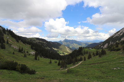 environment