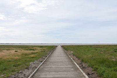 Wooden walkway in between marshland 