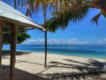 Palm trees on beach against blue sky