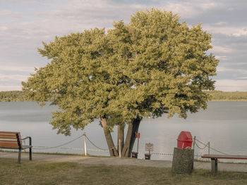 Rear view of woman standing by lake against sky during autumn