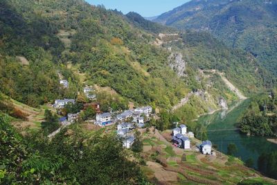 High angle view of trees and buildings in village