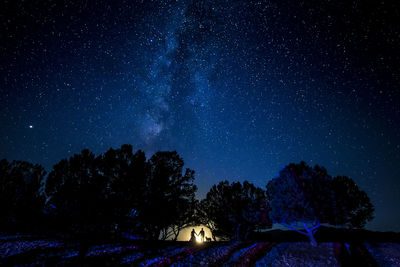 Low angle view of star field against sky at night