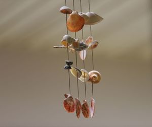 Close-up of shell mobile for decorate the house