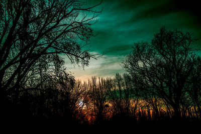 Silhouette trees against sky at sunset