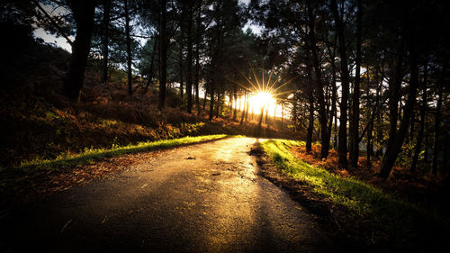 Road amidst trees in forest against sky during sunset