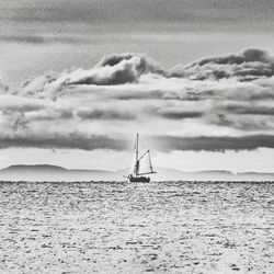 Sailboat sailing on sea against sky