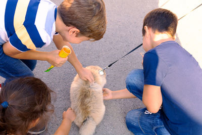 High angle view of kids touching puppy on road