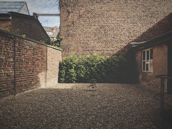 Plants growing outside building