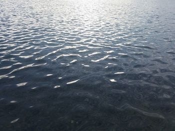 Full frame shot of rippled water