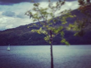 Scenic view of sea and trees against sky