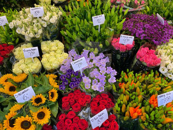 Various flowers for sale at market stall