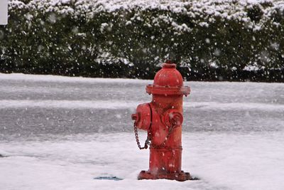 Fire hydrant on snow covered street during snowfall