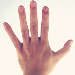 Cropped image of hand holding over white background