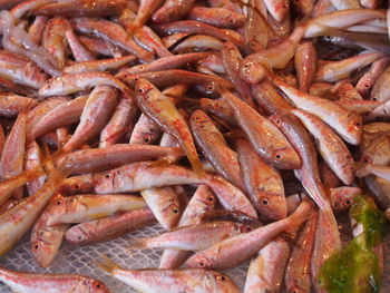 Full frame shot of fish for sale at market