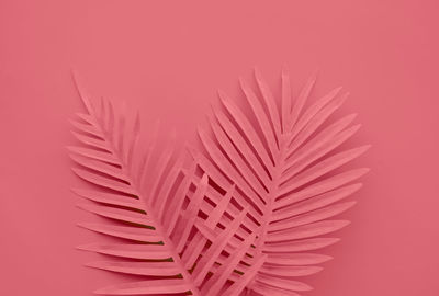 Close-up of feather against pink background