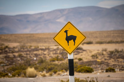 Roadsign in peru - lamas crossing