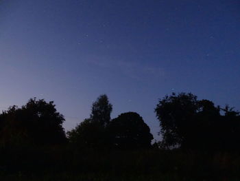 Low angle view of silhouette trees against clear sky at night