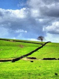 Scenic view of grassy field against cloudy sky